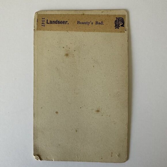 Antique CDV Card Landseer Beauty’s Bath Fidelle 1900s 4”x2.5” - Picture 2 of 2